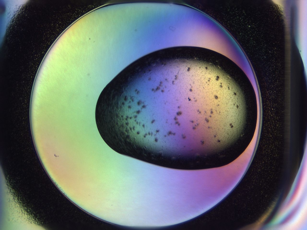 02wh_G2_ImagerDefaults_7.jpg