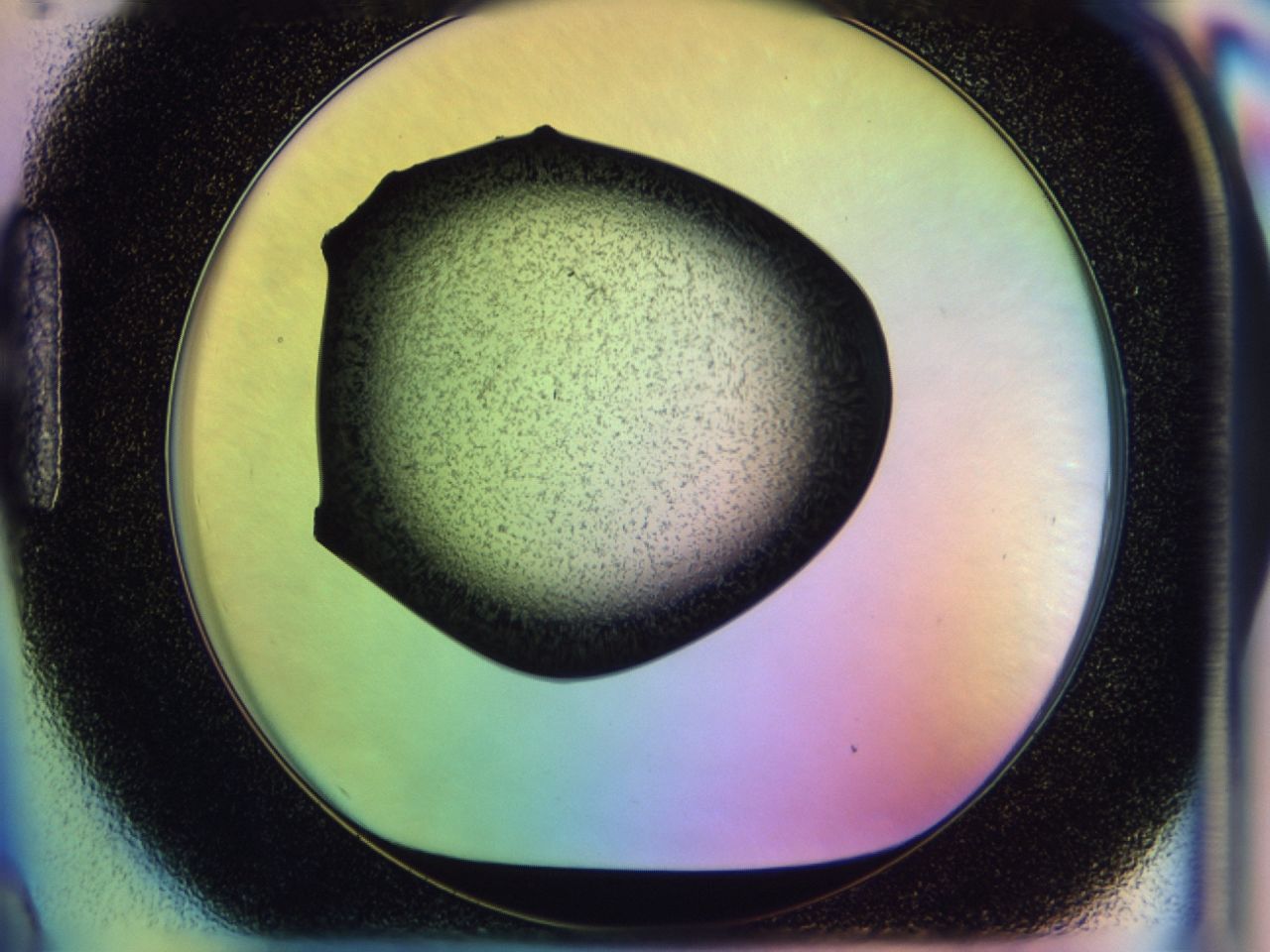 02wh_H9_ImagerDefaults_6.jpg