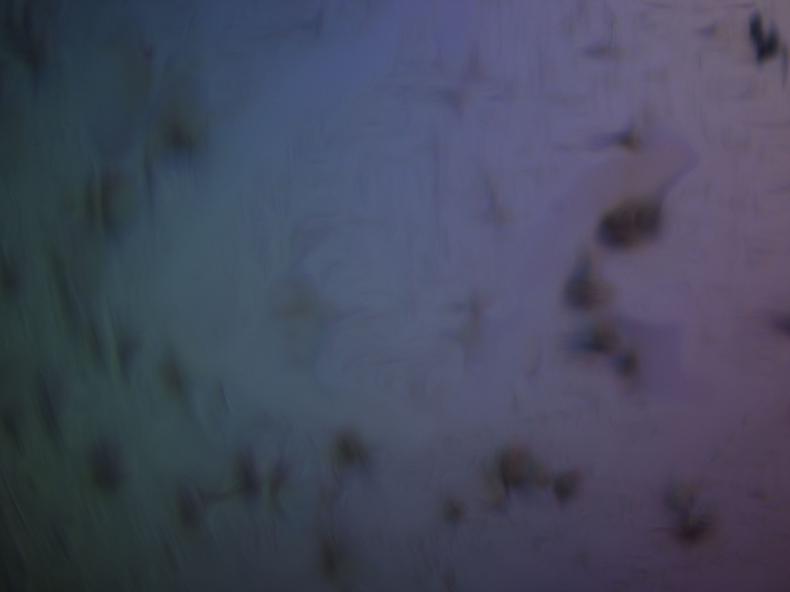 02wh_G2_HighResolution_7.jpg