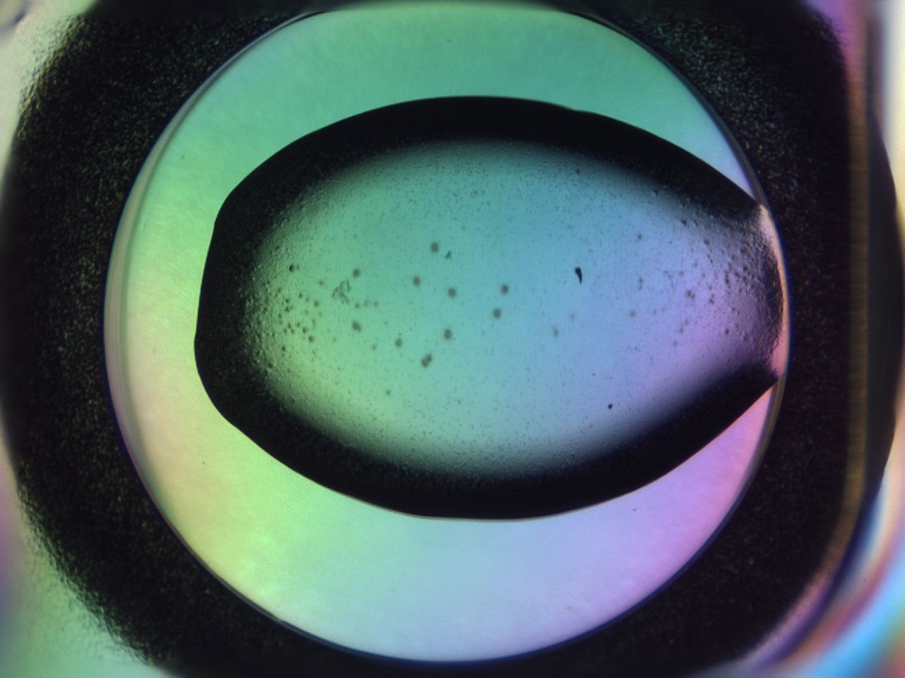 02wh_D6_ImagerDefaults_6.jpg