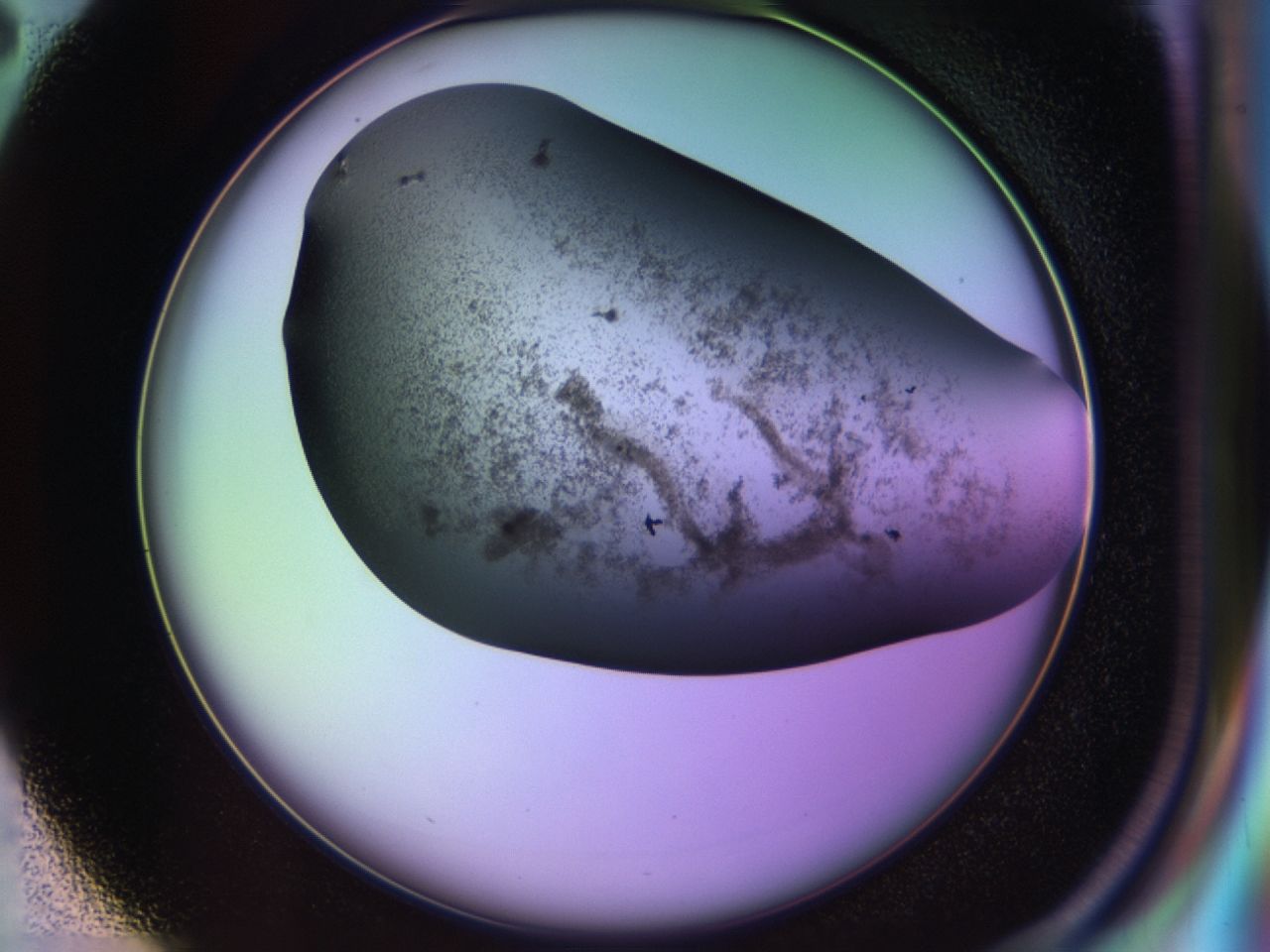 02wj_D2_ImagerDefaults_7.jpg