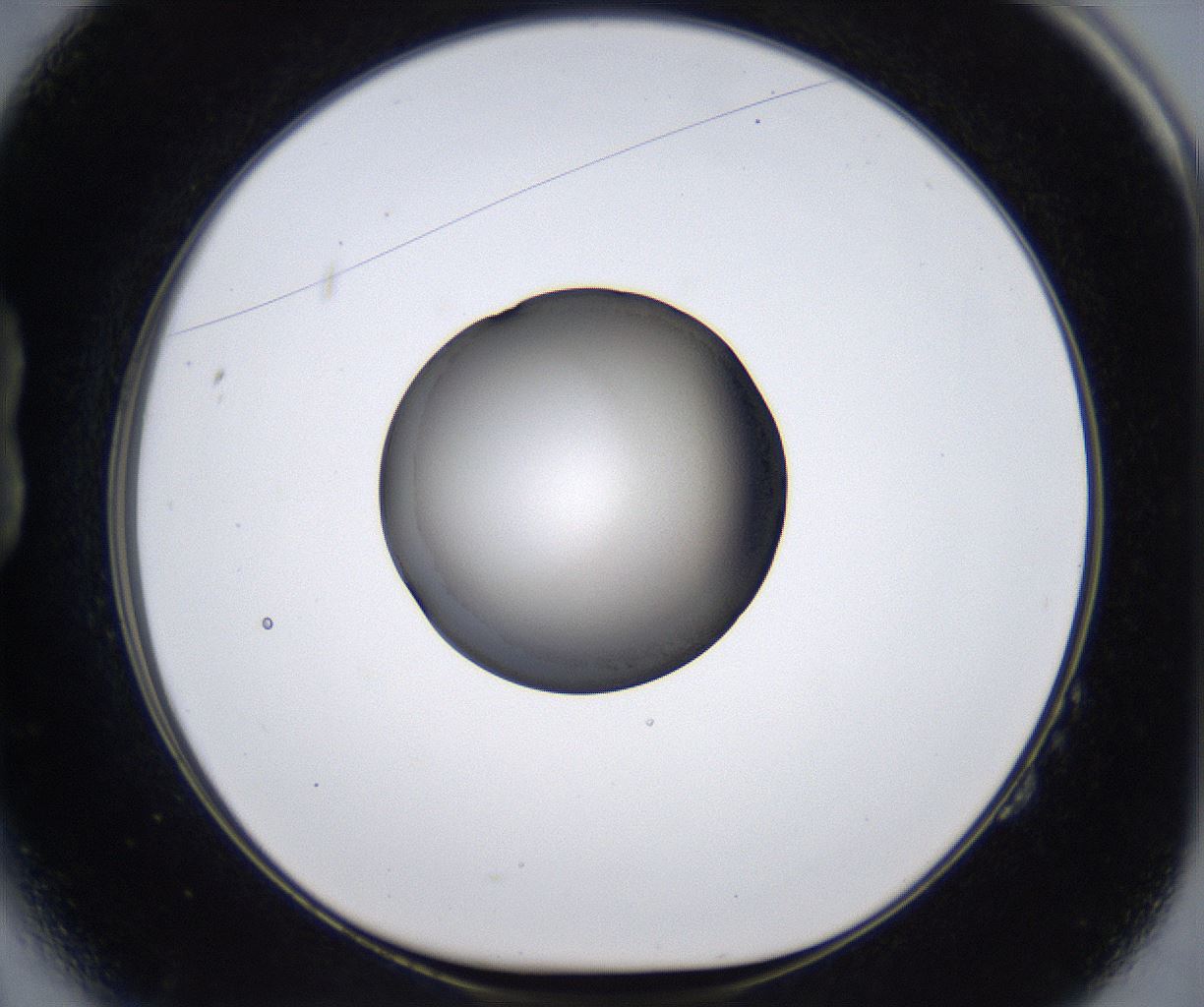 folderID280_plateID2280_batchID10795_wellNum14_profileID1_d1_r159240_ef.jpg