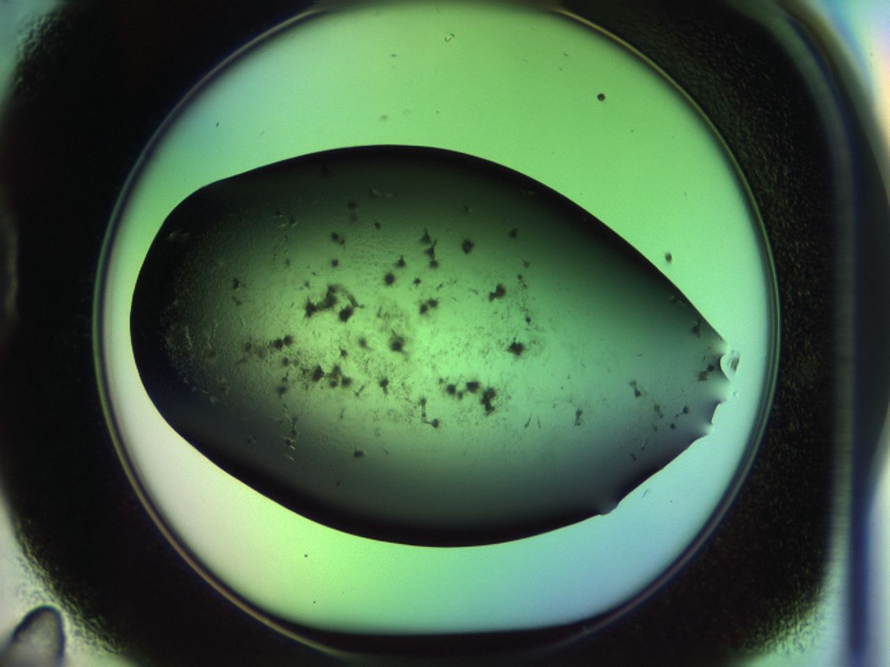 02wj_D11_ImagerDefaults_7.jpg
