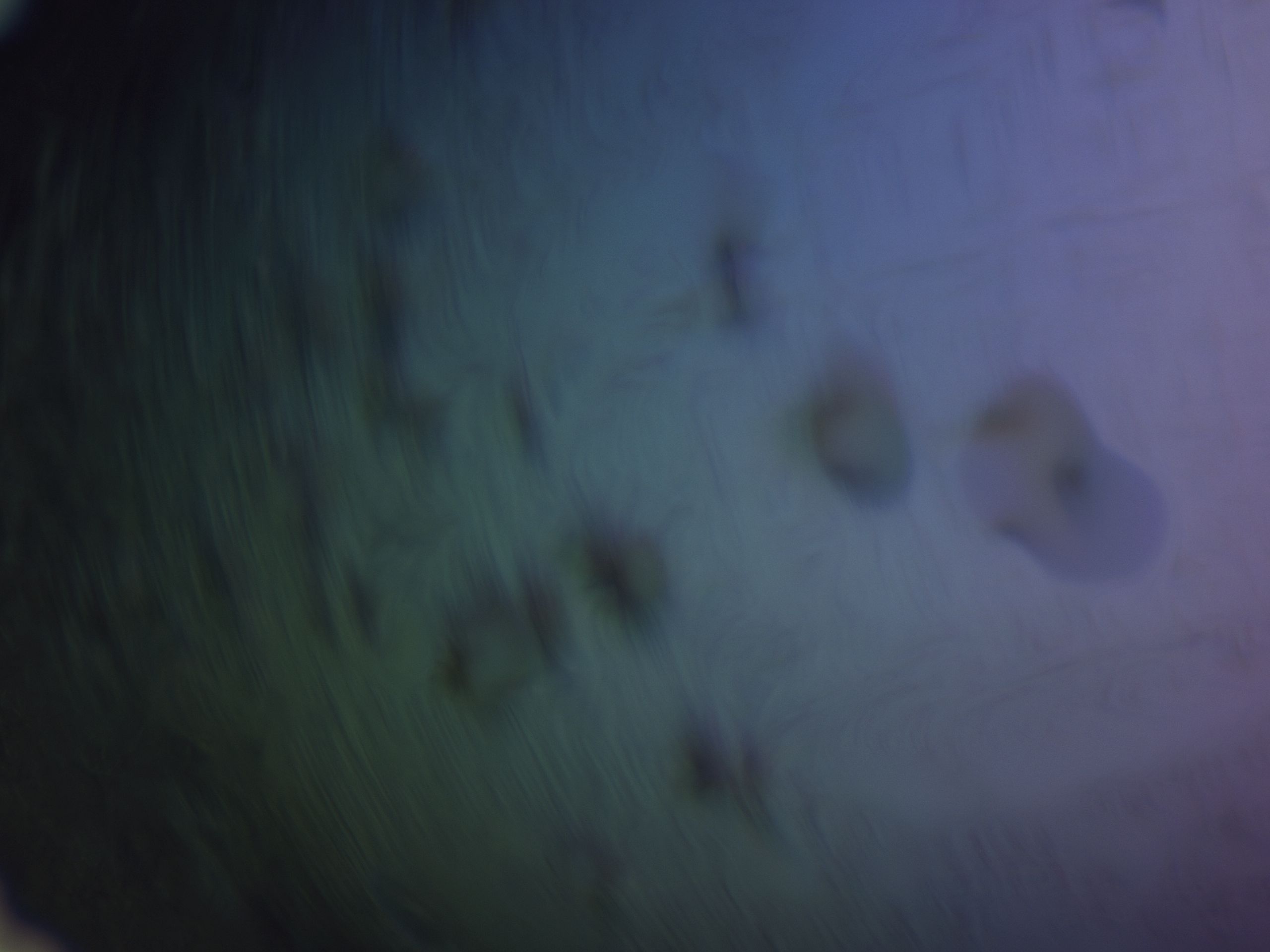 02wp_G2_HighResolution_7.jpg