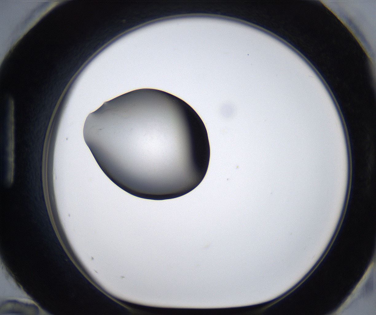 folderID280_plateID2280_batchID10795_wellNum96_profileID1_d1_r159404_ef.jpg