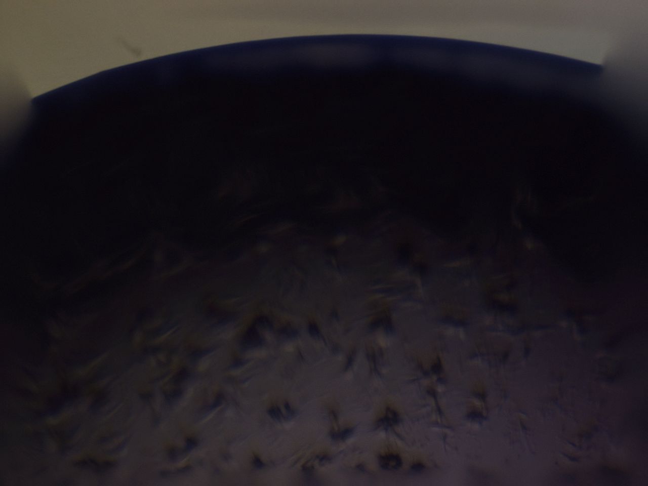 02wr_G2_HighContrast_7.jpg
