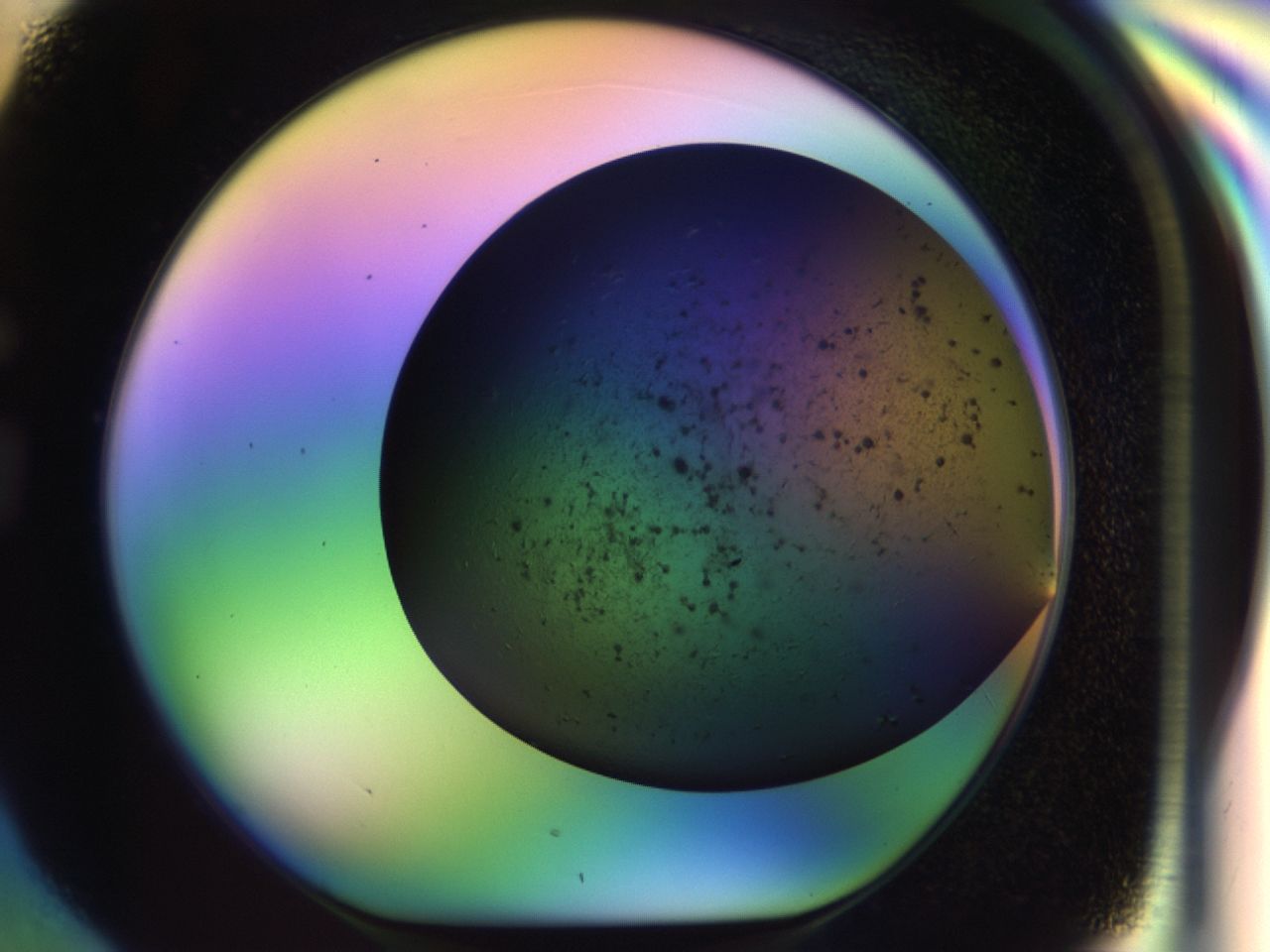 02ws_G4_ImagerDefaults_7.jpg