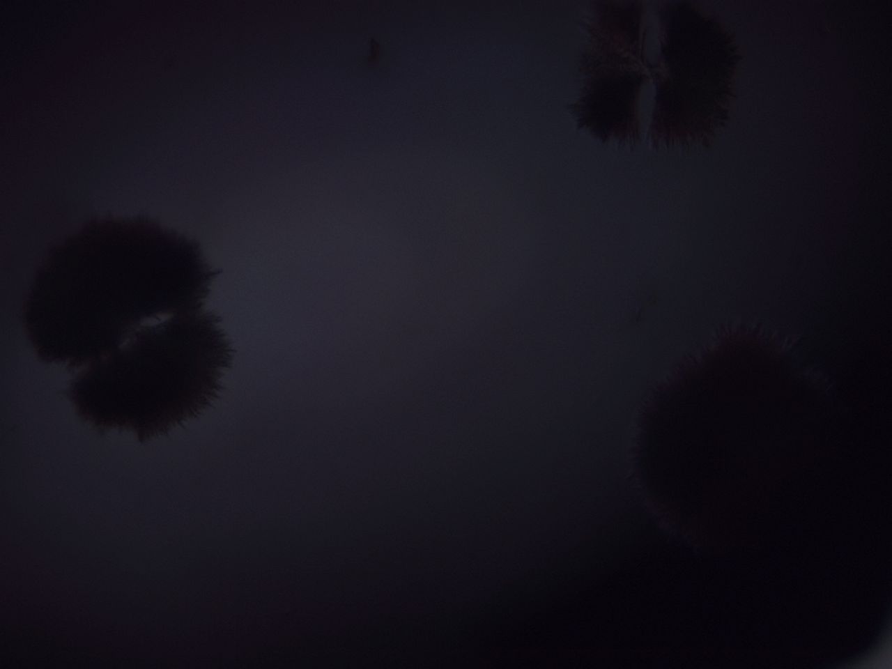 02y3_F3_HighContrast_7.jpg