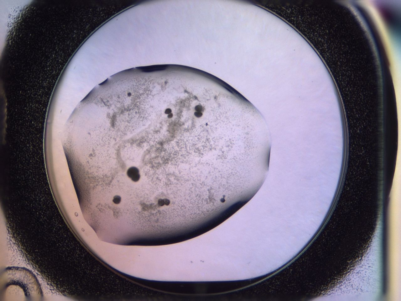 02y3_D10_ImagerDefaults_7.jpg