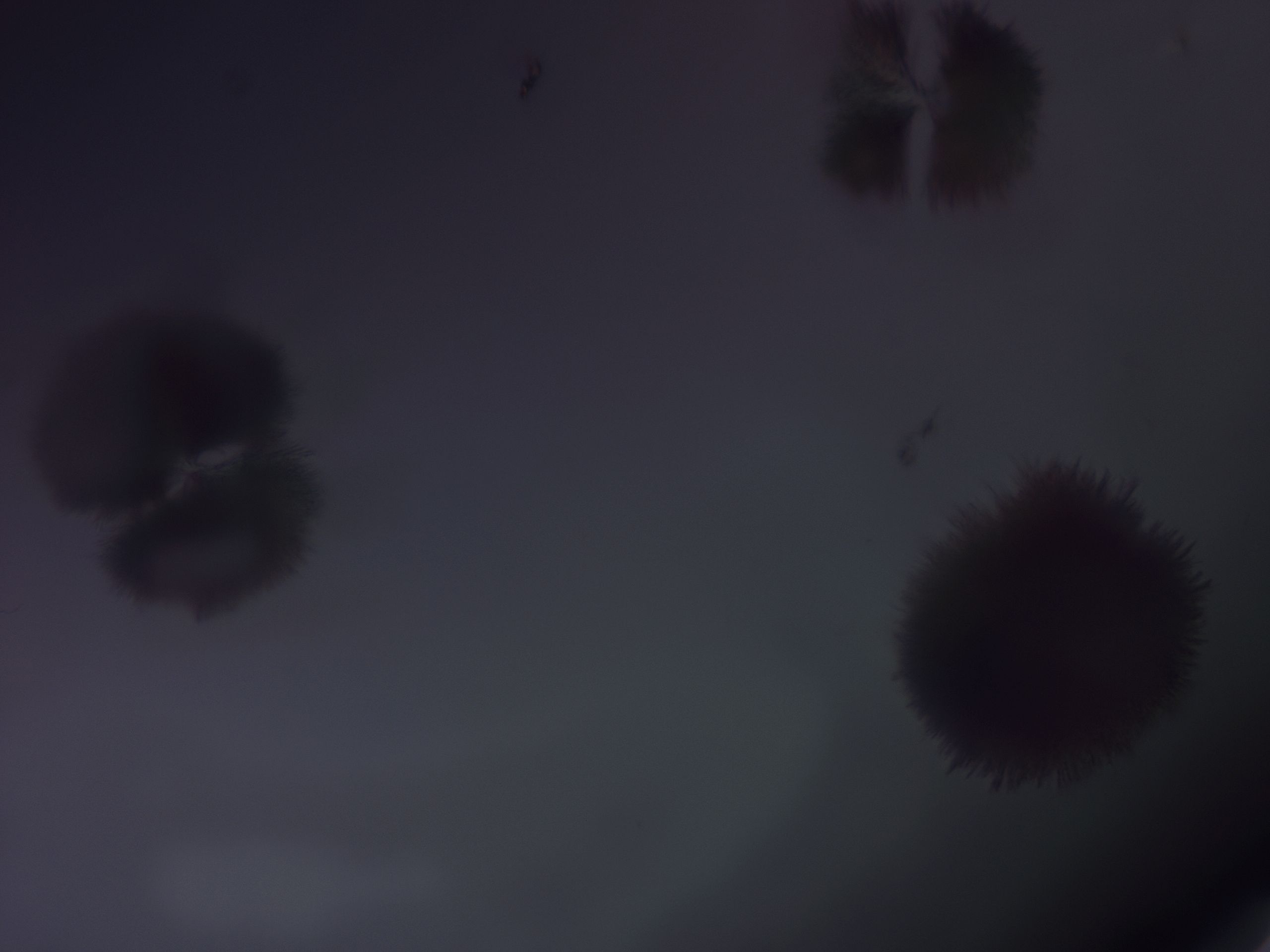 02y3_F3_HighResolution_7.jpg