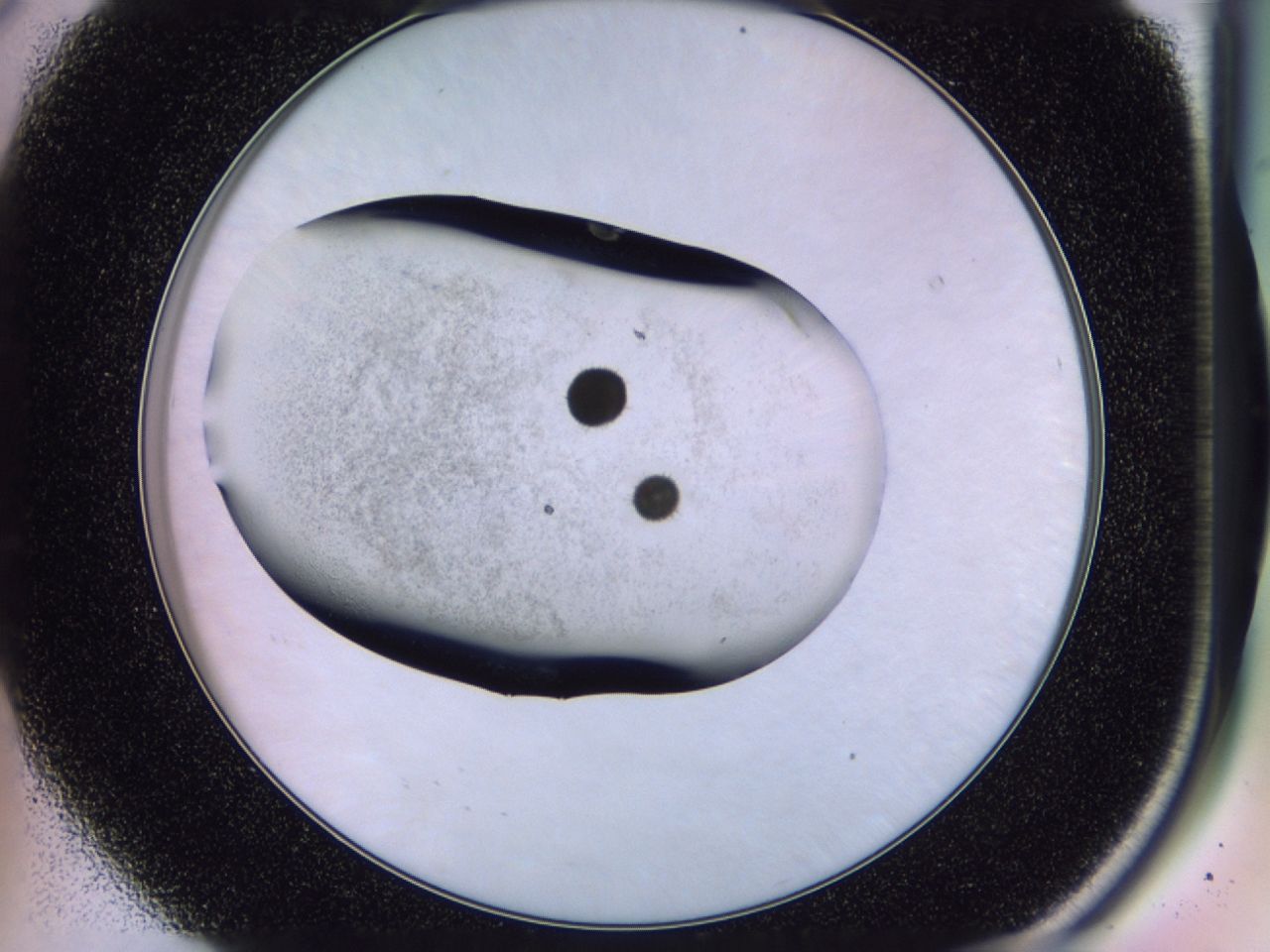 02y5_A8_ImagerDefaults_7.jpg