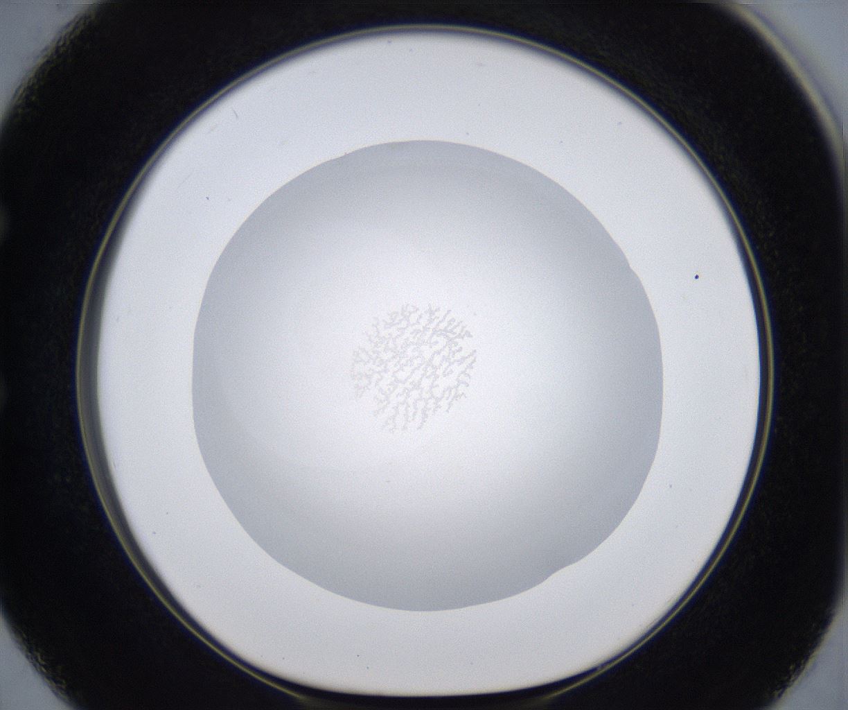 folderID285_plateID2285_batchID10813_wellNum50_profileID1_d1_r159743_ef.jpg