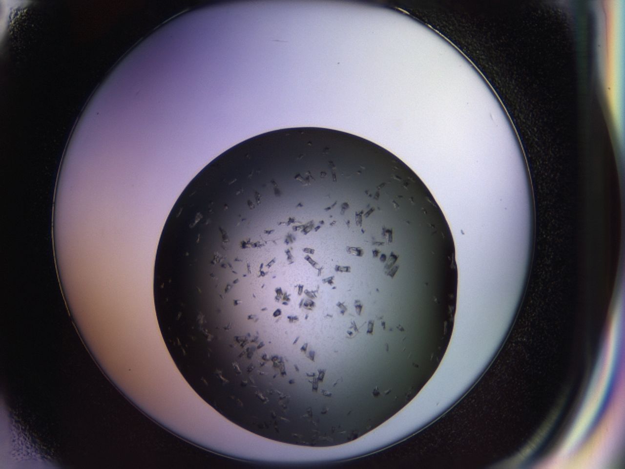 02y6_E2_ImagerDefaults_8.jpg