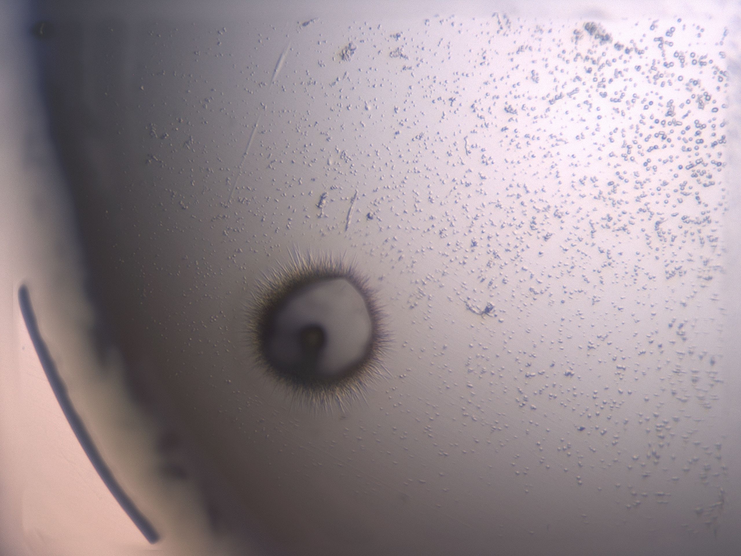 02y6_E4_HighResolution_7.jpg