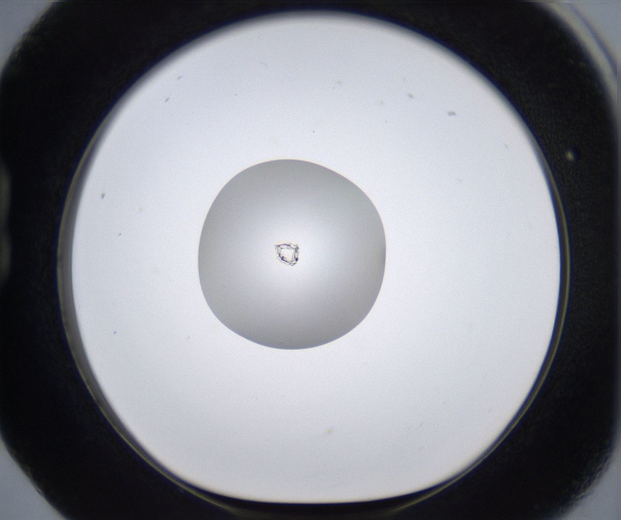 folderID287_plateID2287_batchID10814_wellNum17_profileID1_d1_r159806_ef.jpg