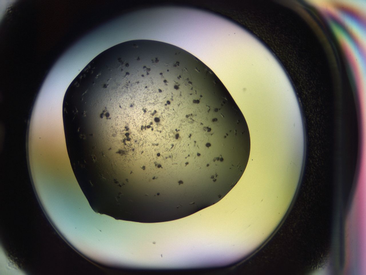 02y6_G4_ImagerDefaults_7.jpg