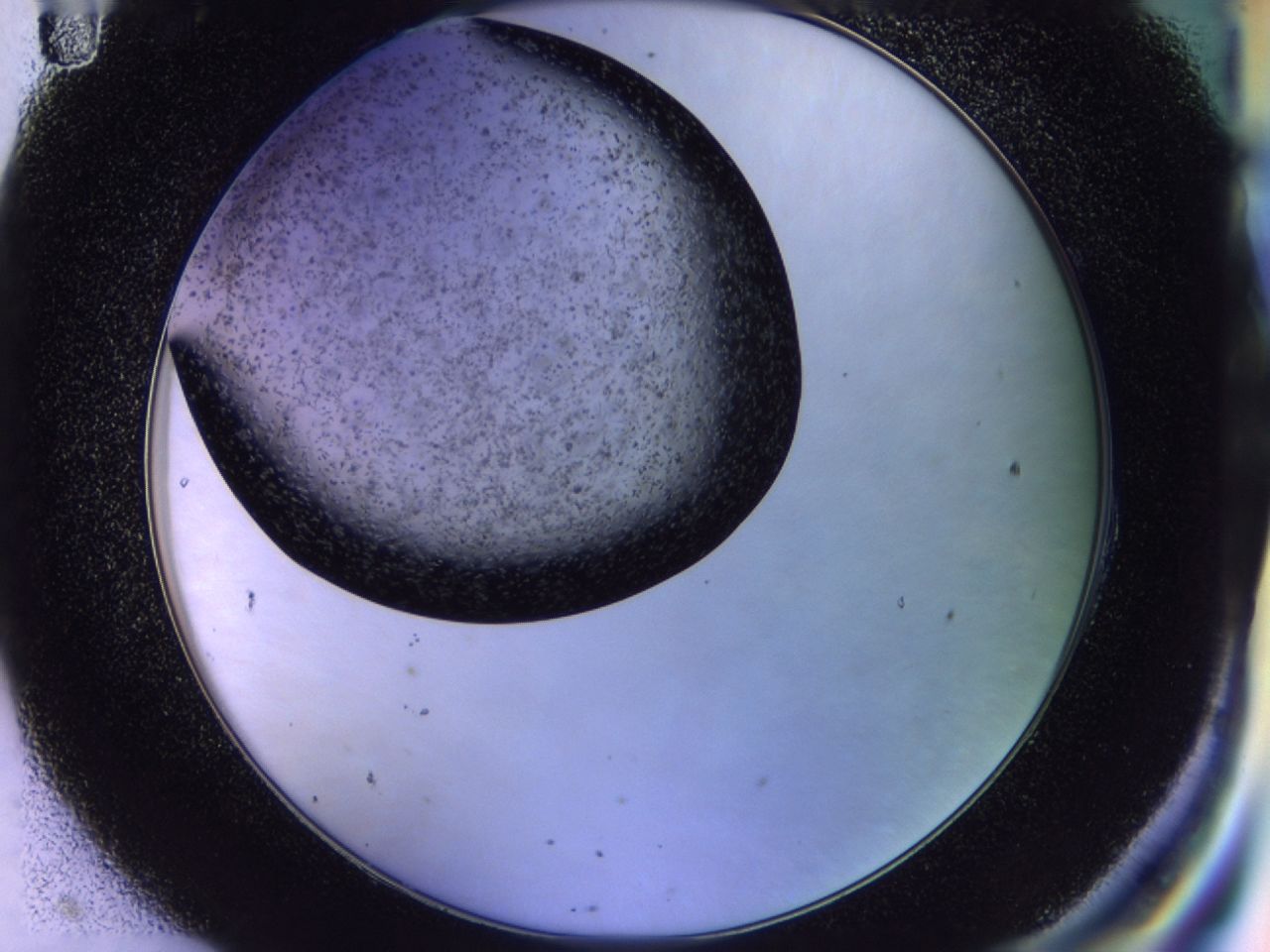 02y7_H11_ImagerDefaults_7.jpg