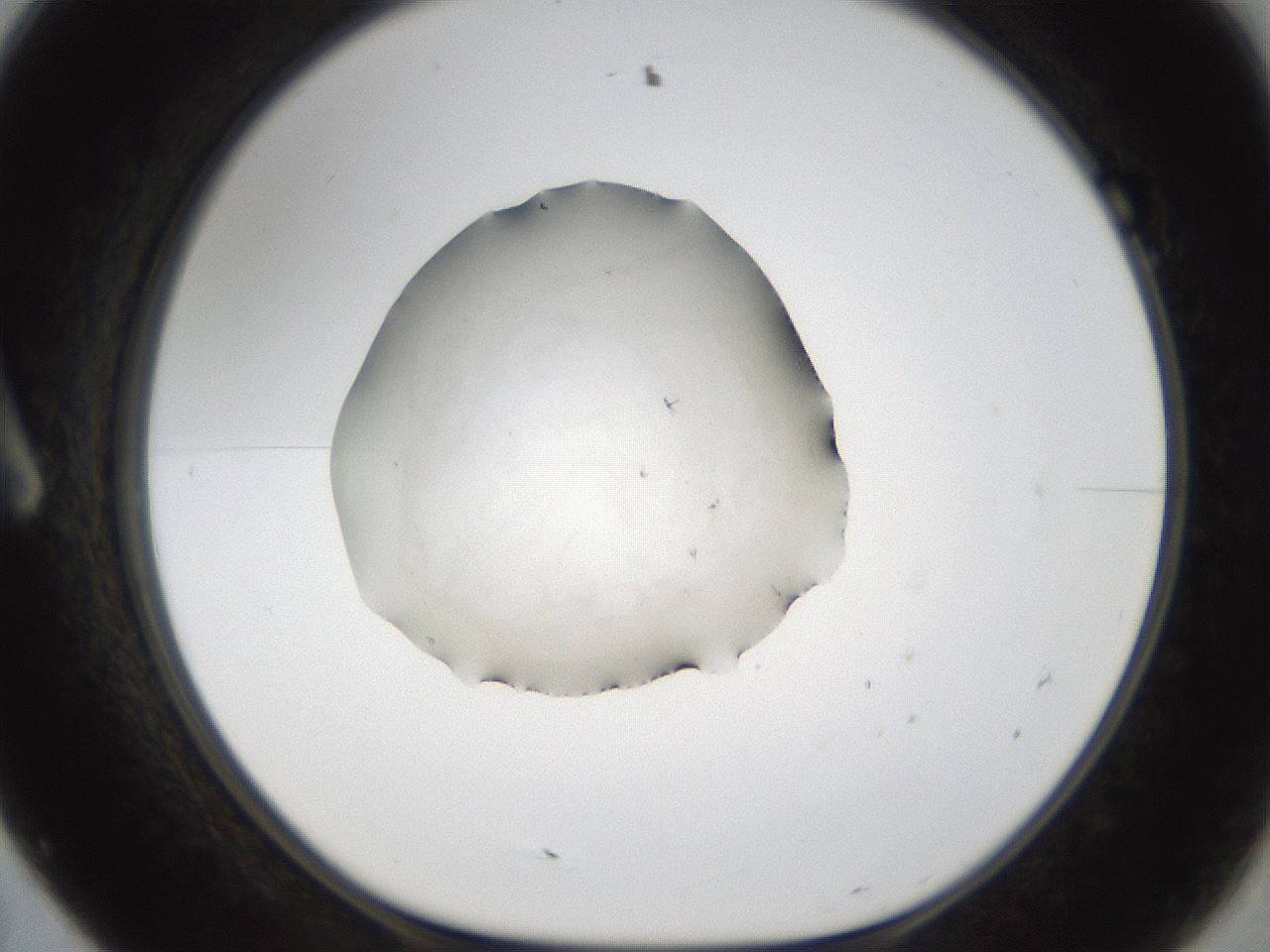 folderID289_plateID1289_batchID4274_wellNum7_profileID1_d1_r77278_ef.jpg