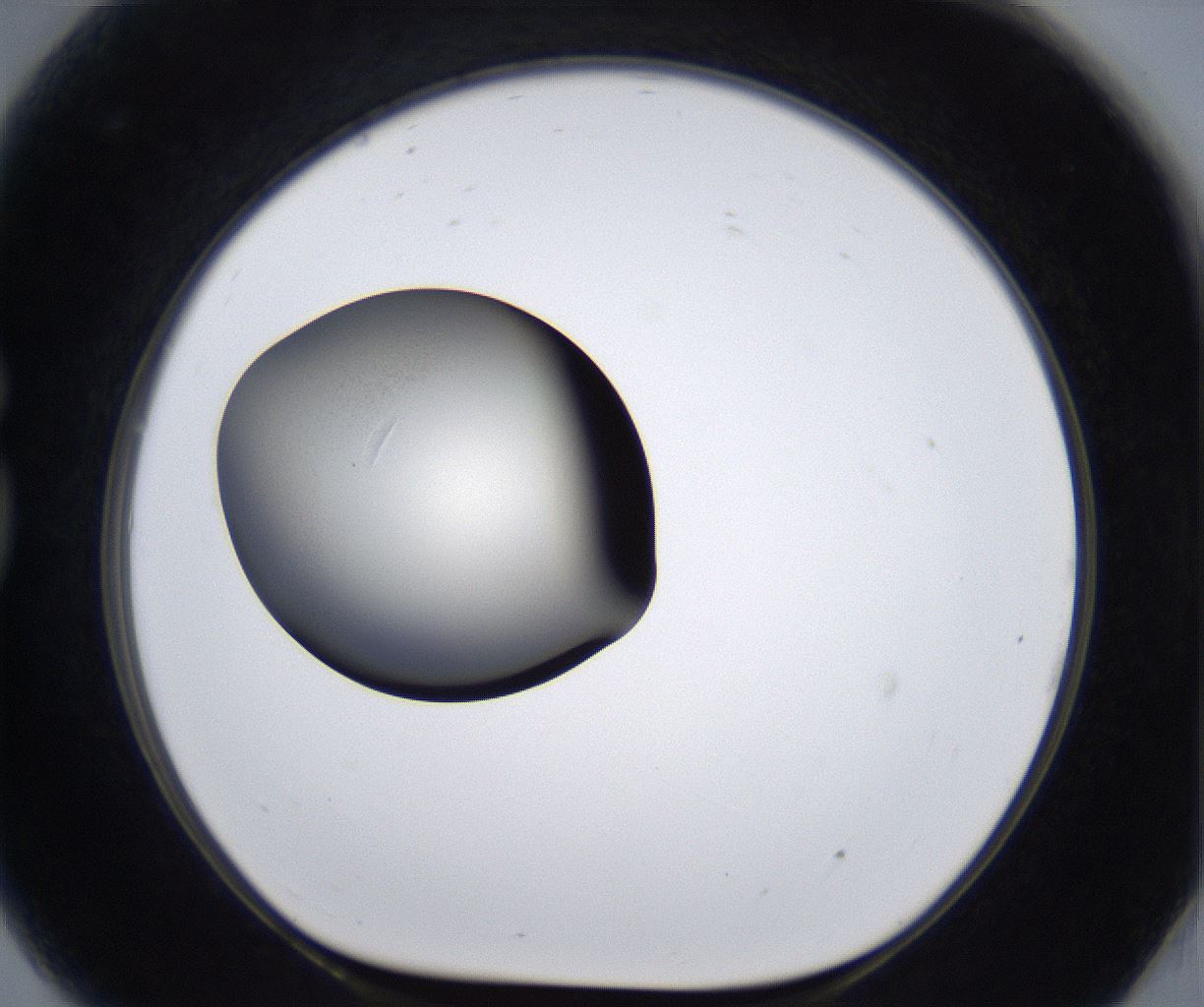folderID289_plateID2289_batchID10816_wellNum81_profileID1_d1_r159966_ef.jpg
