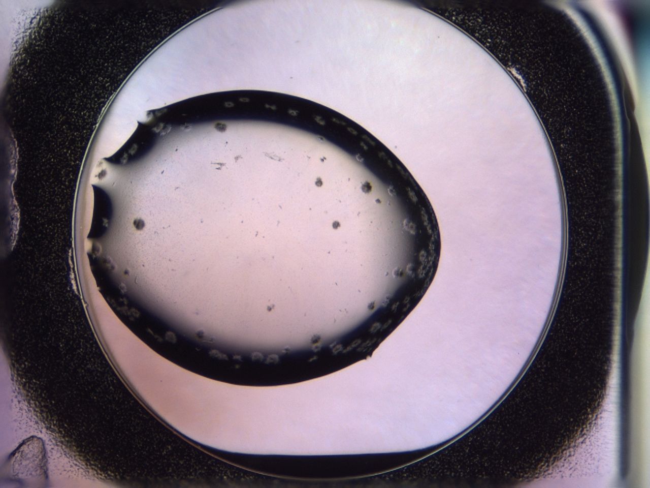 02y9_B11_ImagerDefaults_7.jpg
