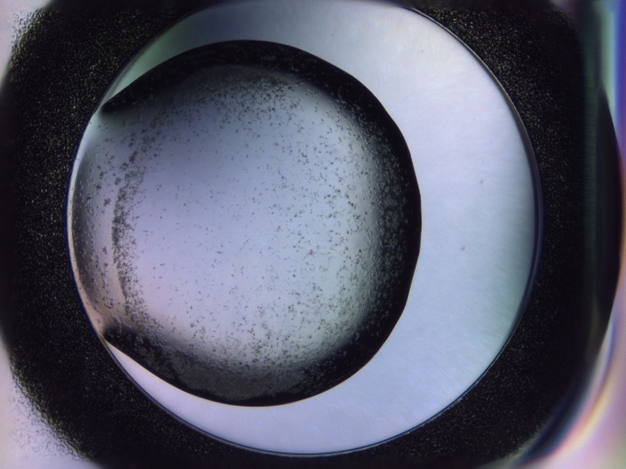 02y9_E7_ImagerDefaults_7.jpg