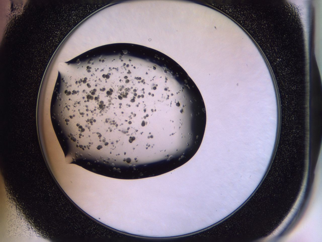 02y9_E11_ImagerDefaults_7.jpg