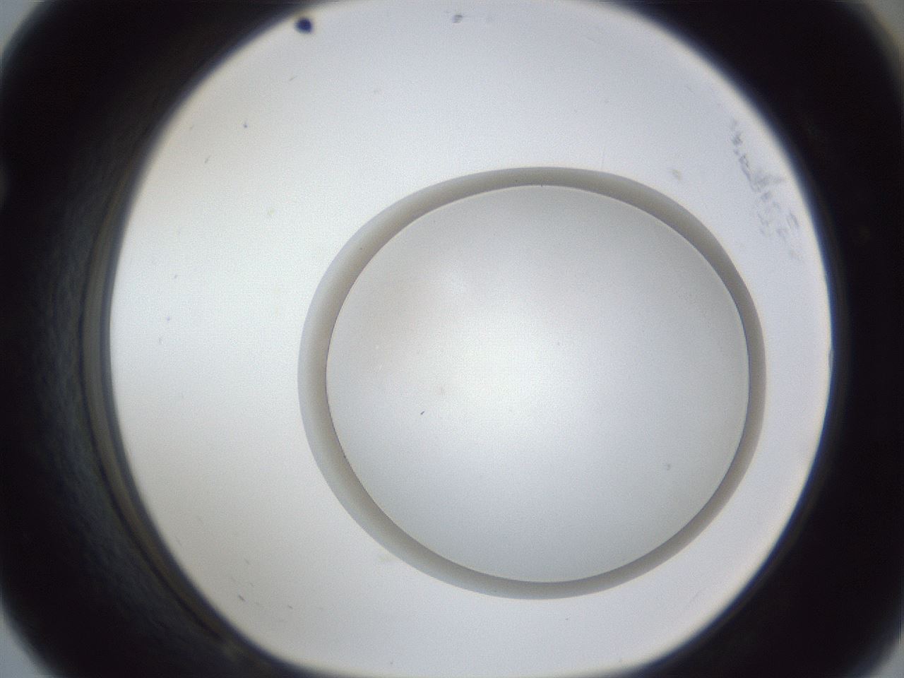 folderID28_plateID1028_batchID1980_wellNum68_profileID1_d1_r44074_ef.jpg