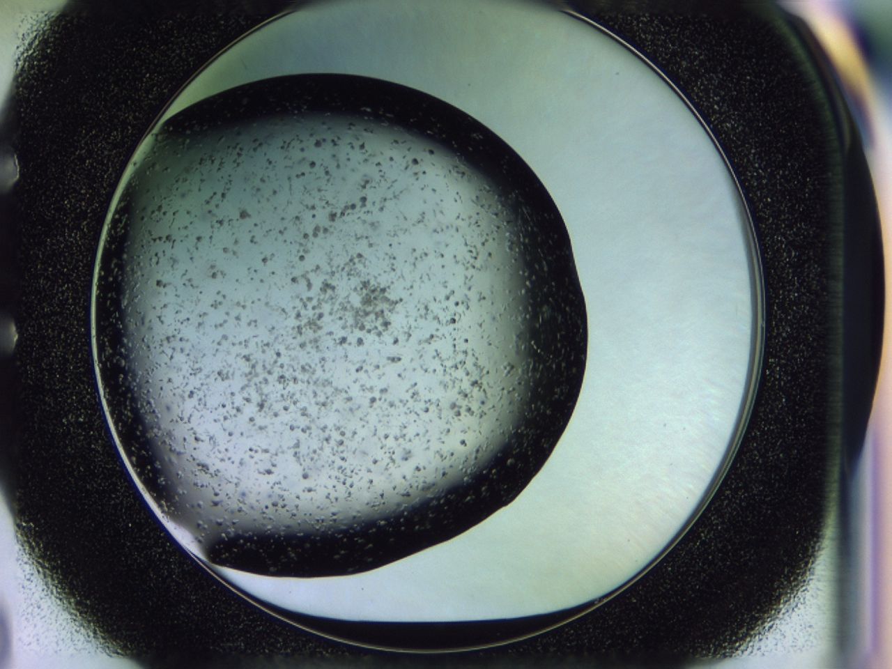 02y9_E2_ImagerDefaults_6.jpg