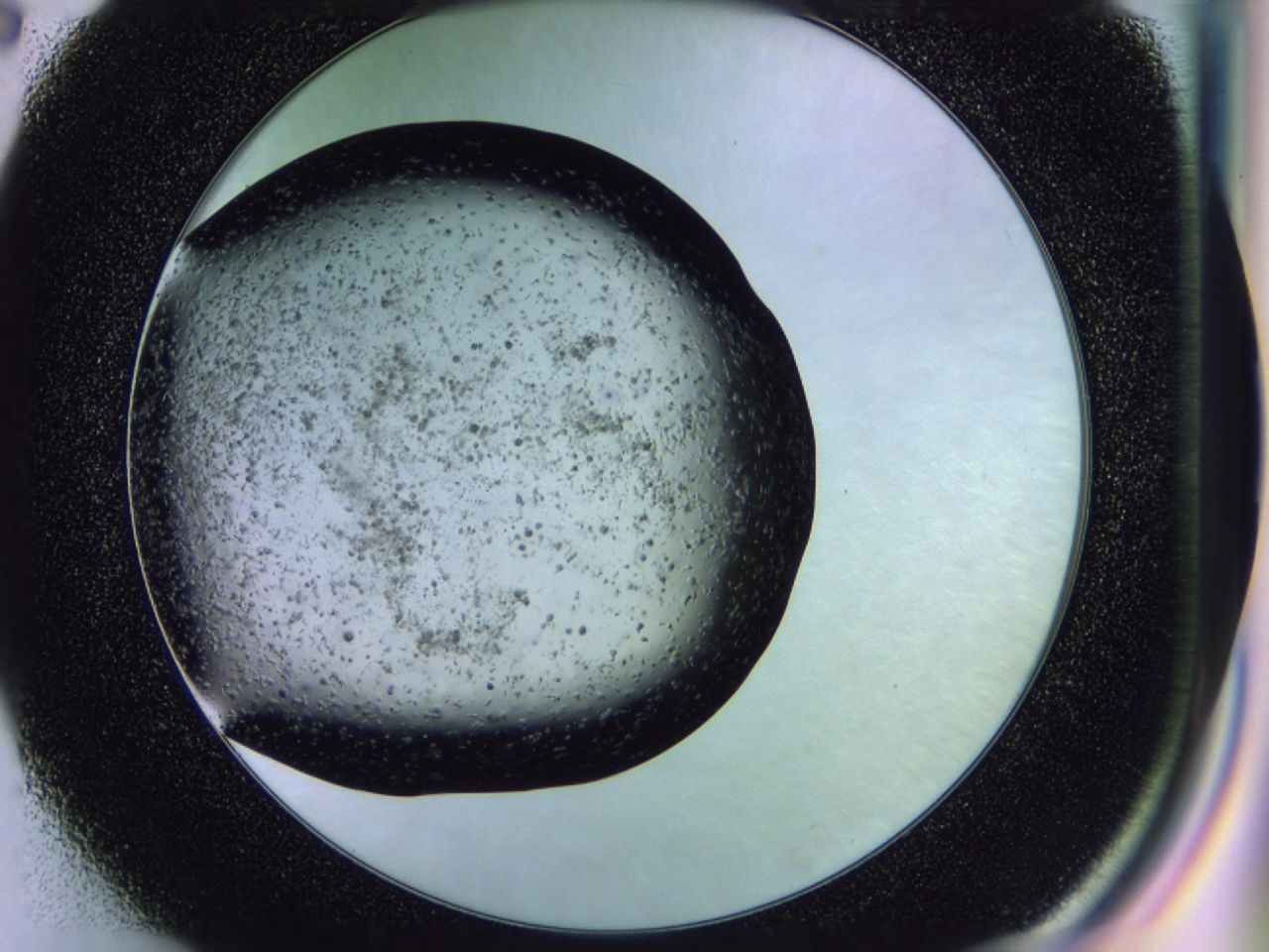 02y9_E2_ImagerDefaults_7.jpg