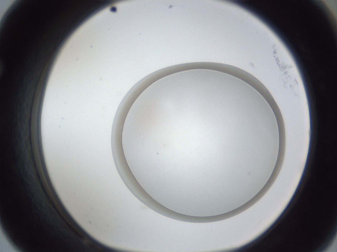 folderID28_plateID1028_batchID1993_wellNum68_profileID1_d1_r44074_ef.jpg