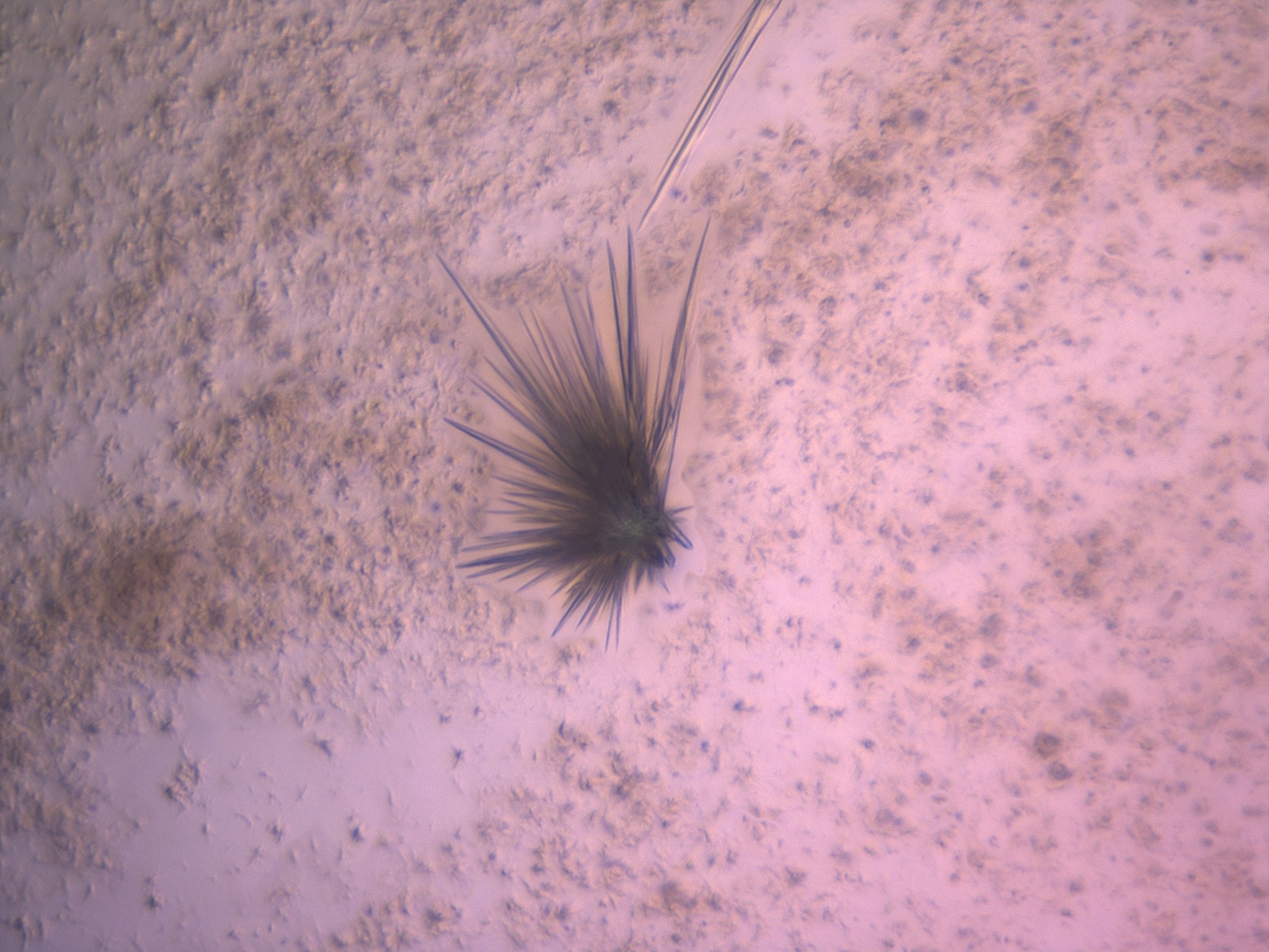 02yt_E2_HighResolution_7.jpg