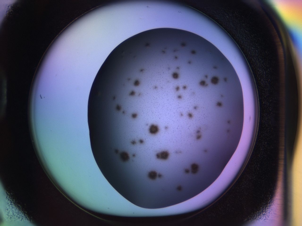 02yv_D6_ImagerDefaults_7.jpg