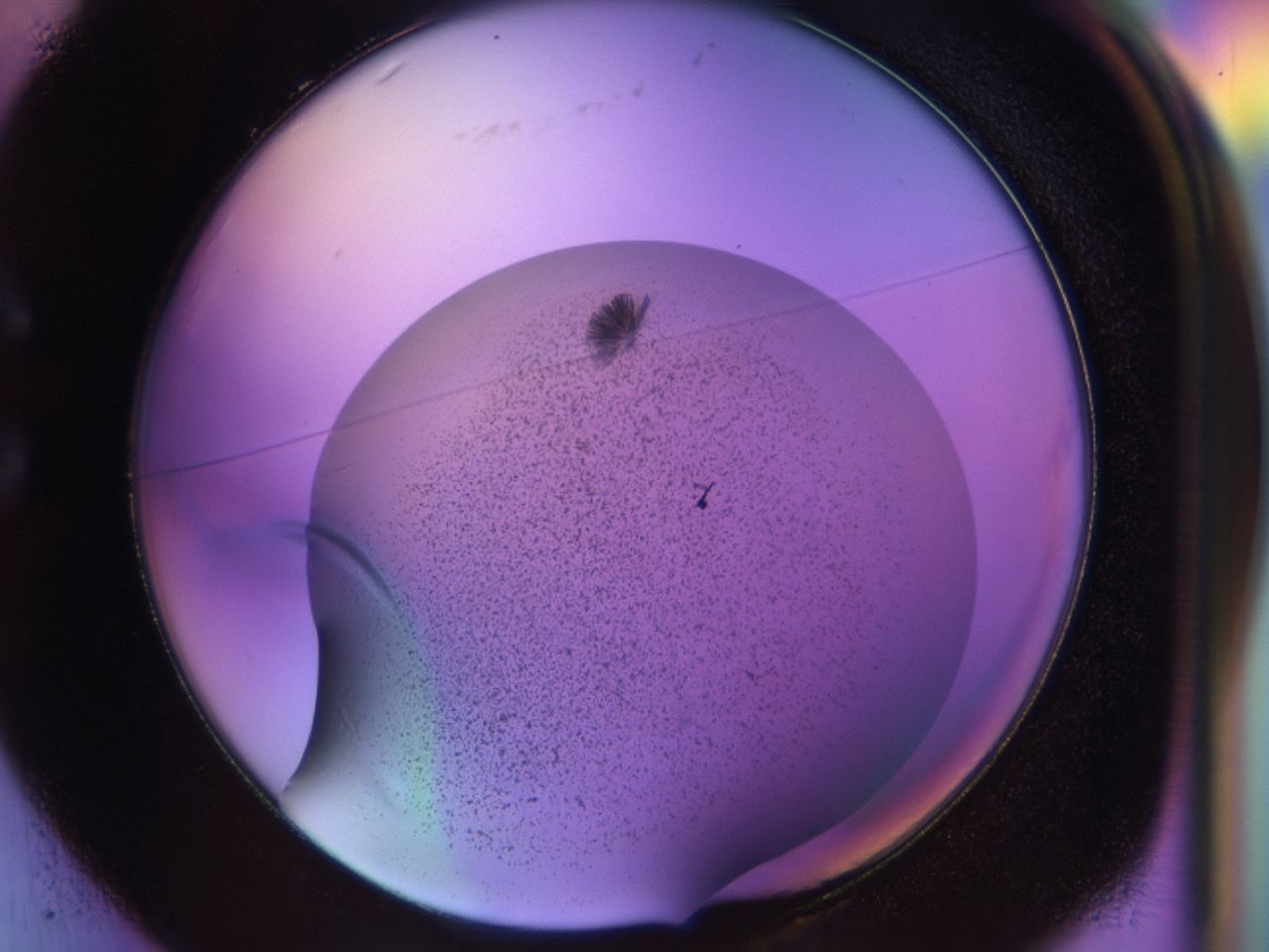 02yw_C1_ImagerDefaults_9.jpg