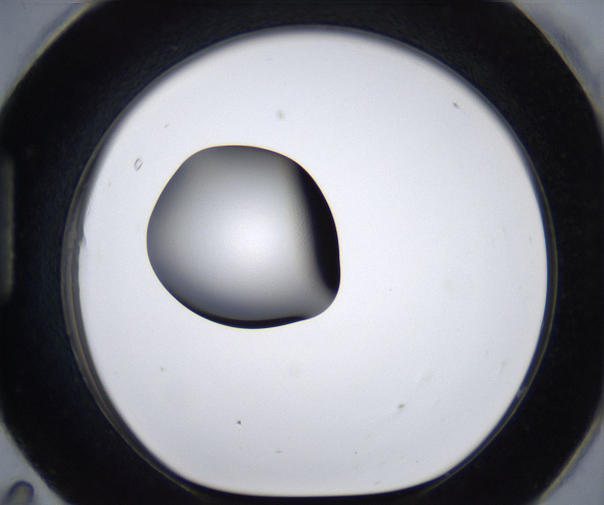 folderID295_plateID2295_batchID10832_wellNum95_profileID1_d1_r160460_ef.jpg