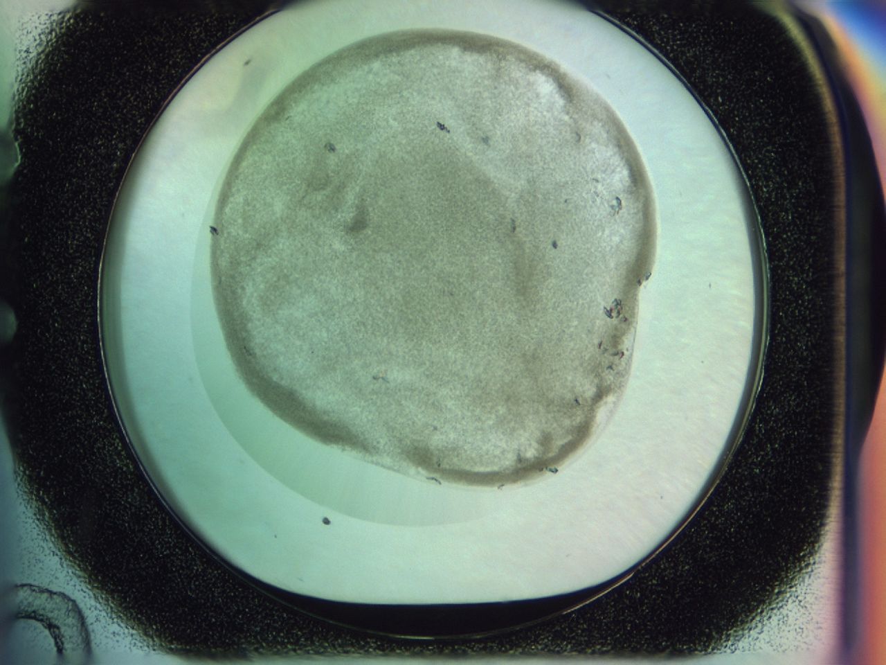 02z4_E10_ImagerDefaults_7.jpg