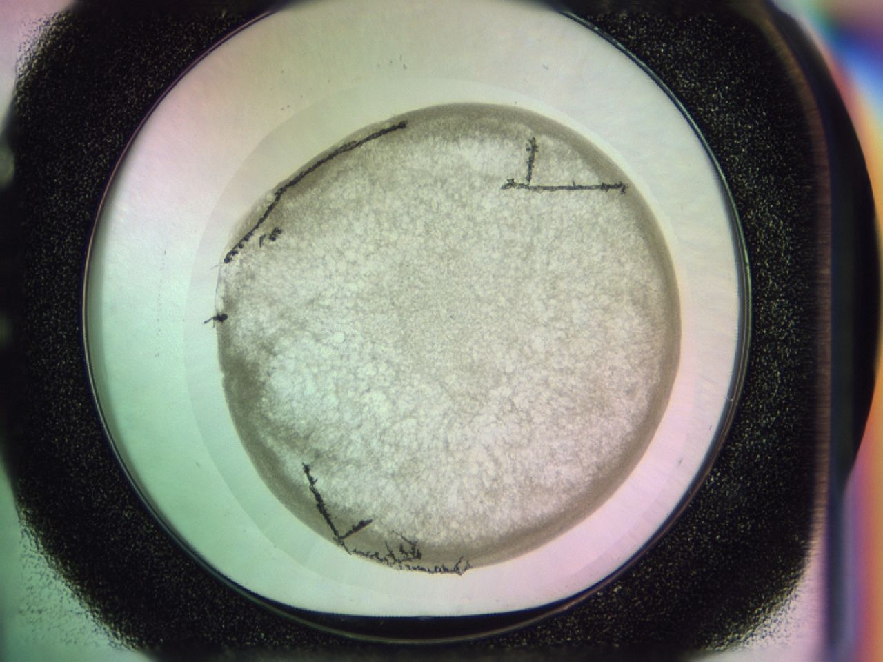 02z9_E4_ImagerDefaults_7.jpg