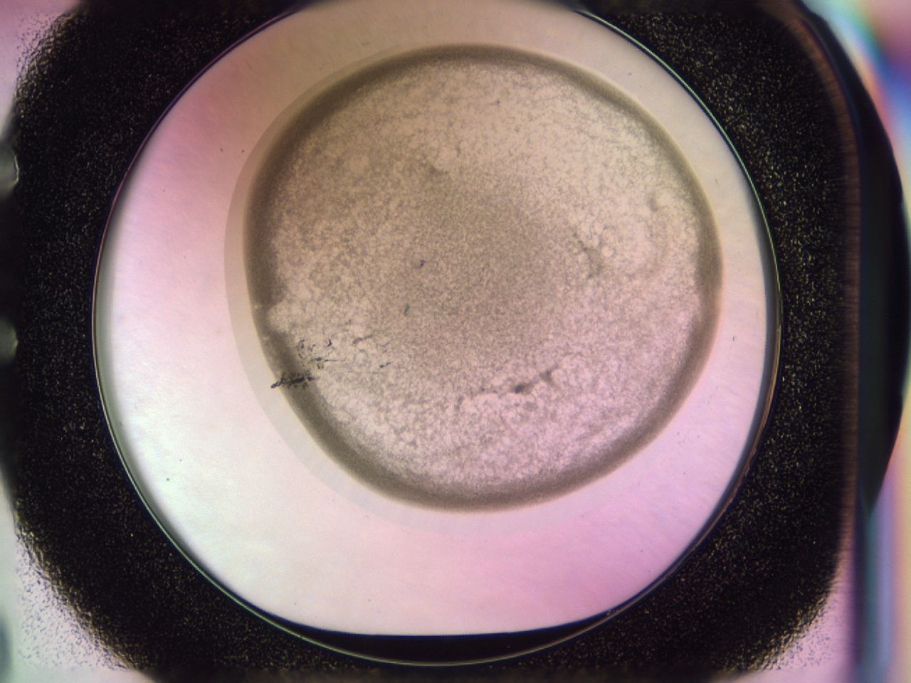 02z9_E2_ImagerDefaults_7.jpg