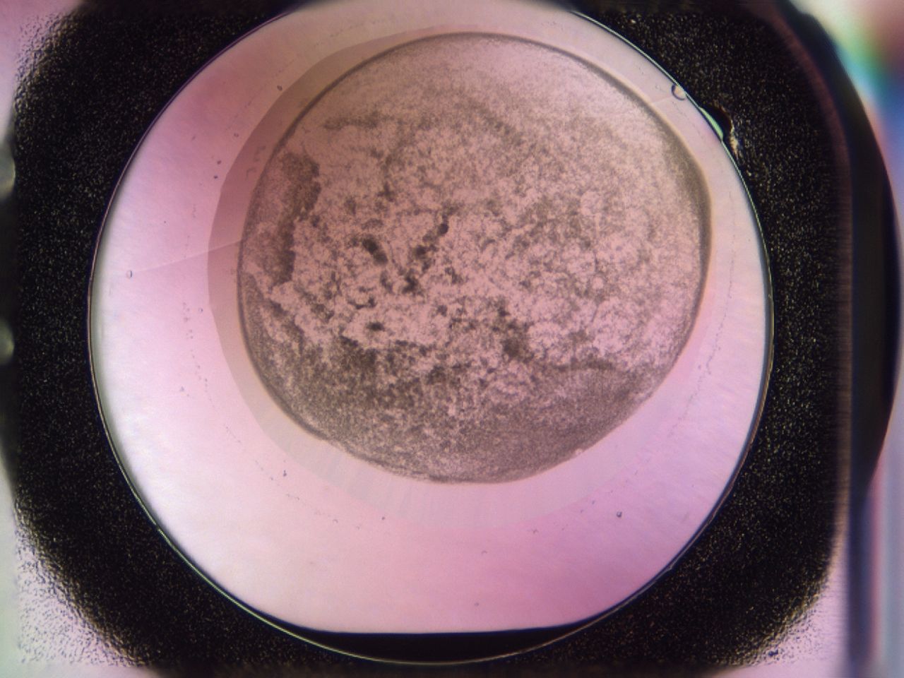 02z9_E1_ImagerDefaults_7.jpg