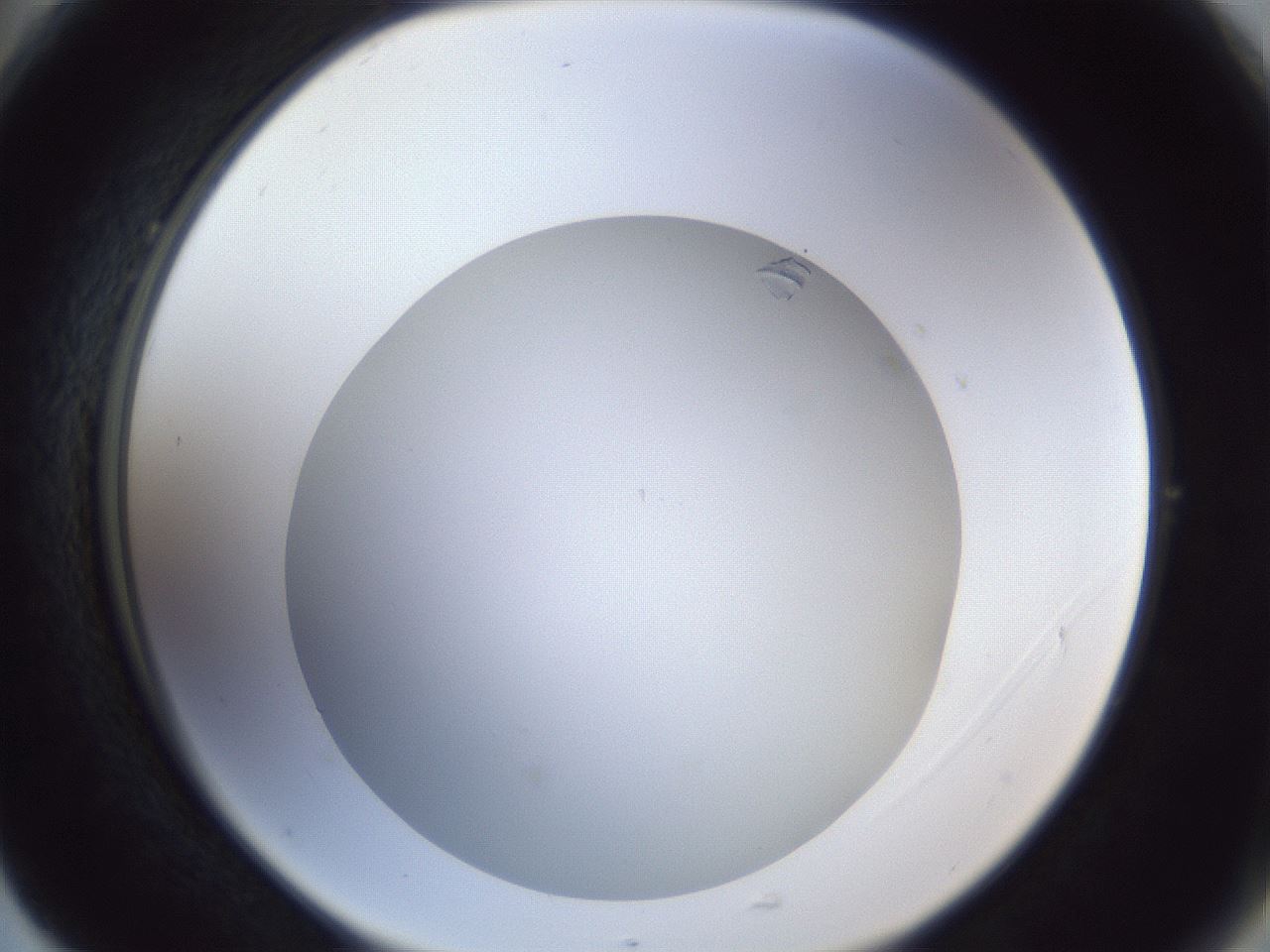 folderID29_plateID1029_batchID1998_wellNum77_profileID1_d2_r44285_ef.jpg