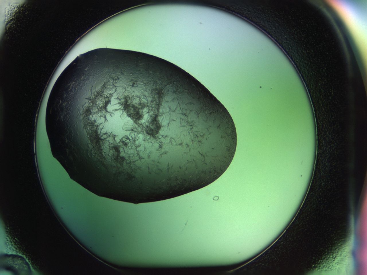02ze_D12_ImagerDefaults_6.jpg