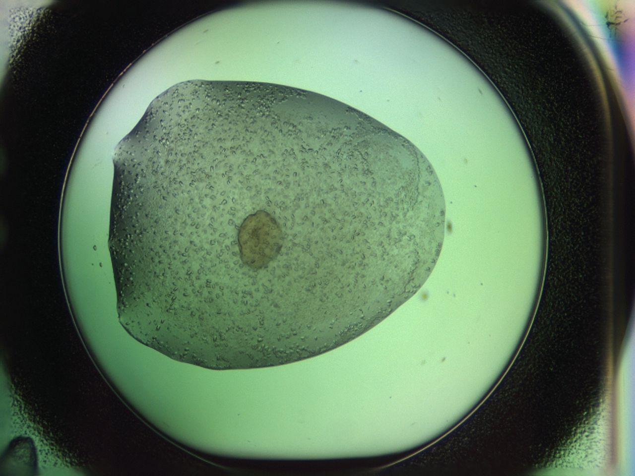 02zg_C11_ImagerDefaults_6.jpg