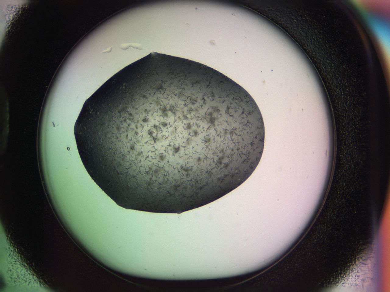 02zg_D6_ImagerDefaults_6.jpg