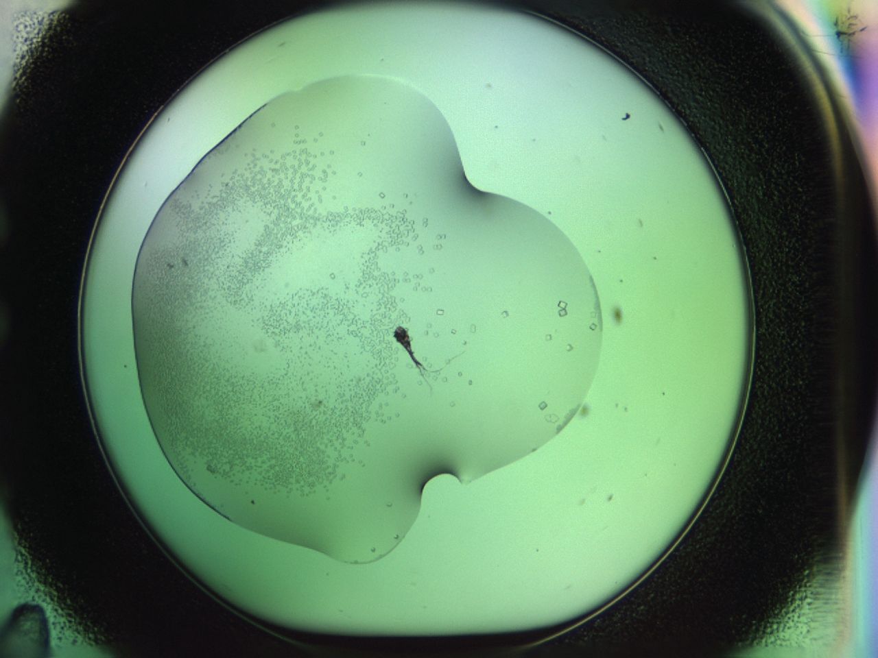 02zj_C11_ImagerDefaults_8.jpg