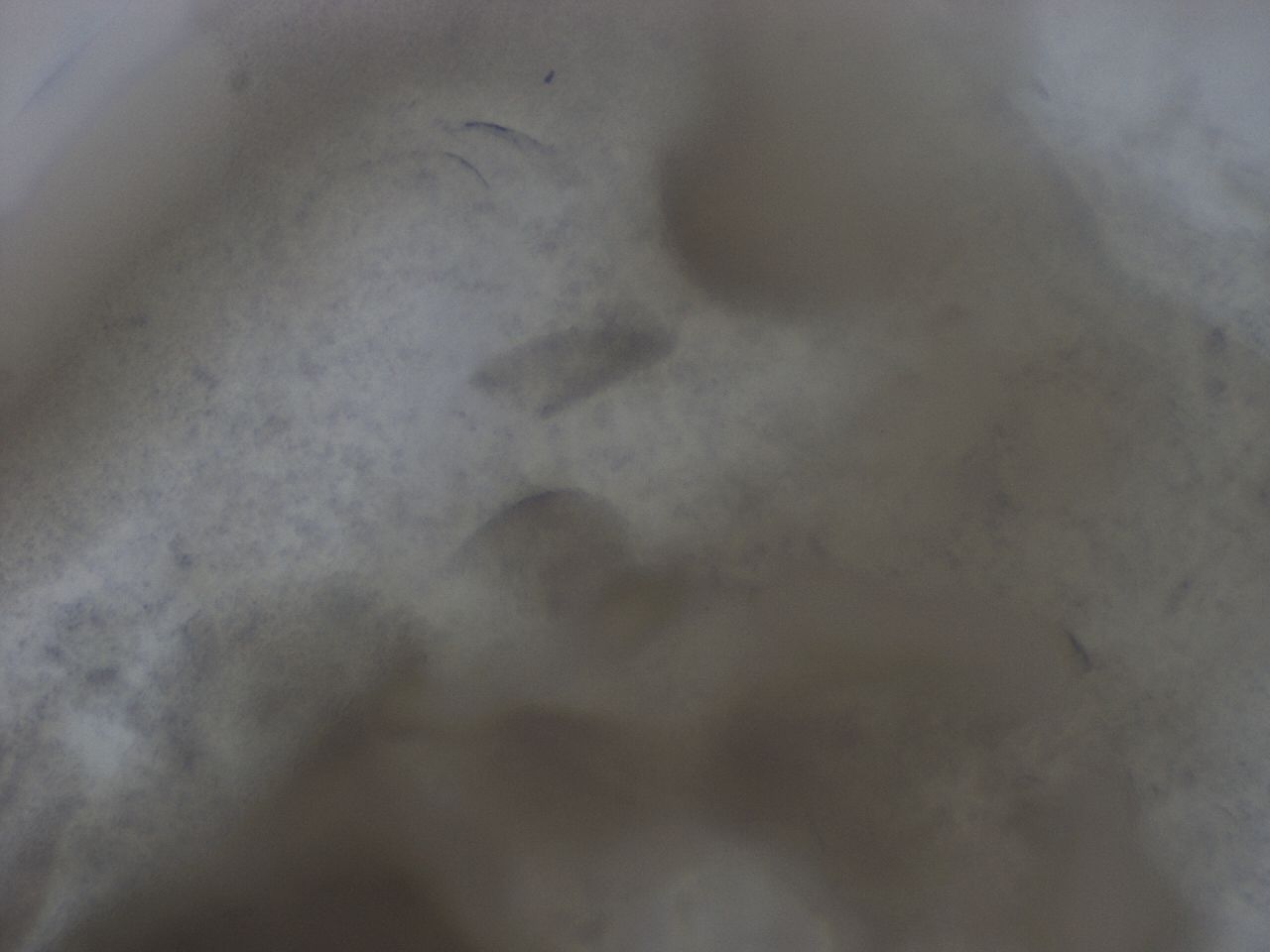 02zr_C9_ImagerDefaults_9.jpg