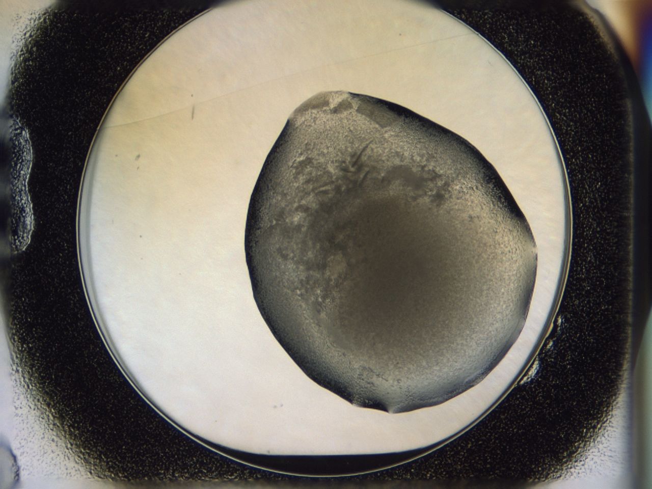 02zt_B2_ImagerDefaults_9.jpg