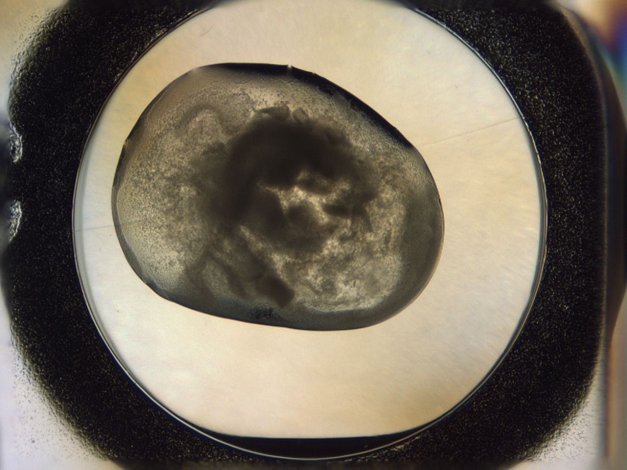 02zt_C1_ImagerDefaults_9.jpg