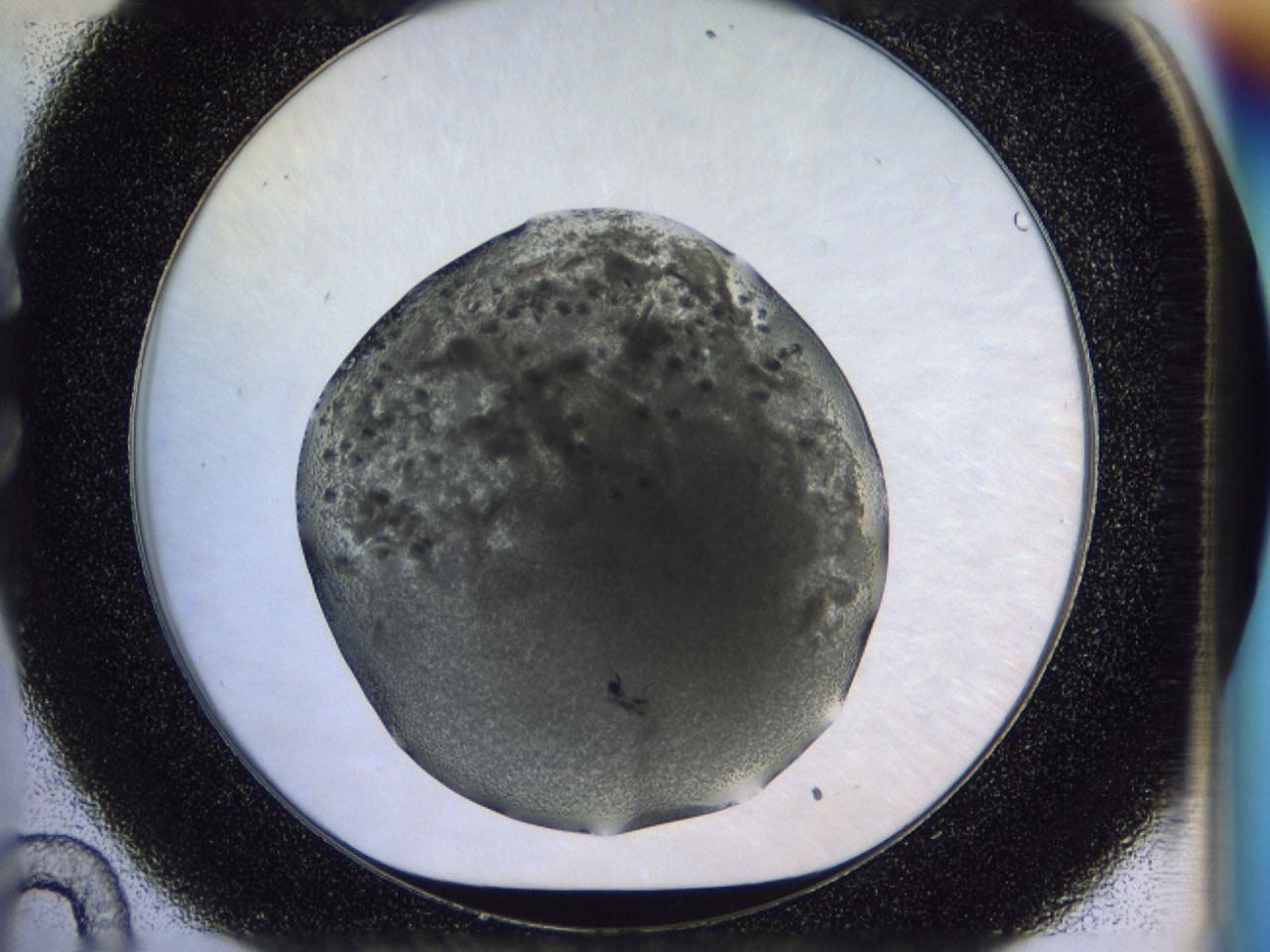 02zu_C10_ImagerDefaults_9.jpg