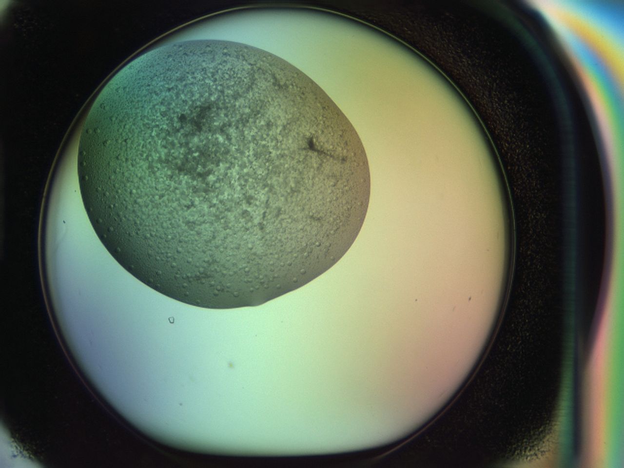 030i_H6_ImagerDefaults_6.jpg