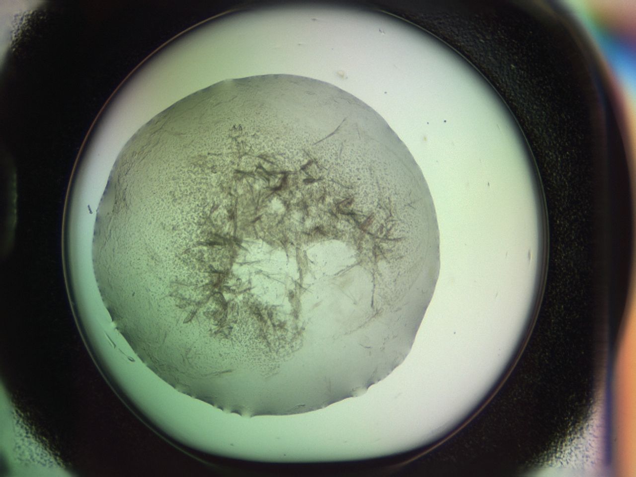 030m_D6_ImagerDefaults_6.jpg