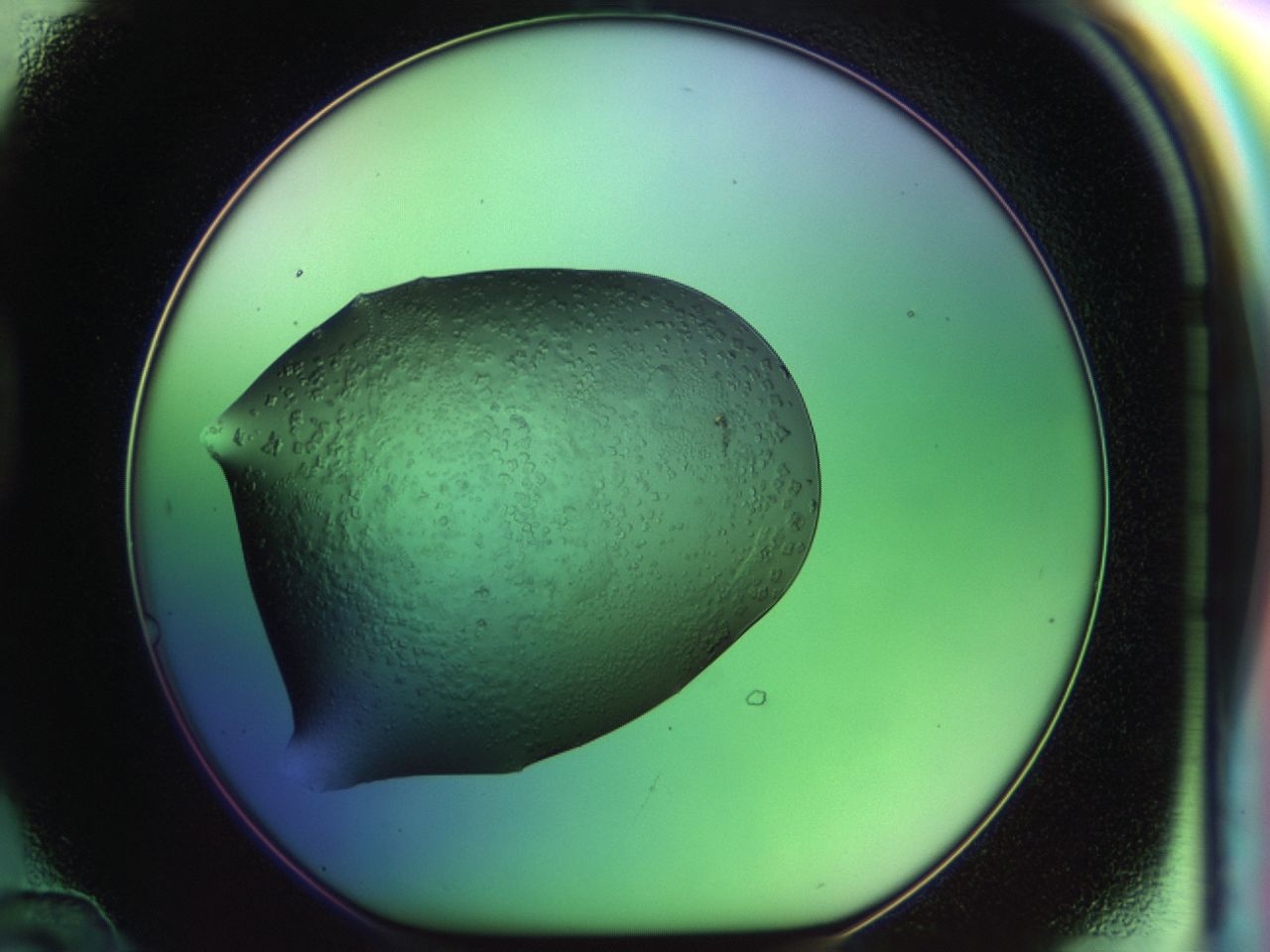 030m_D12_ImagerDefaults_6.jpg